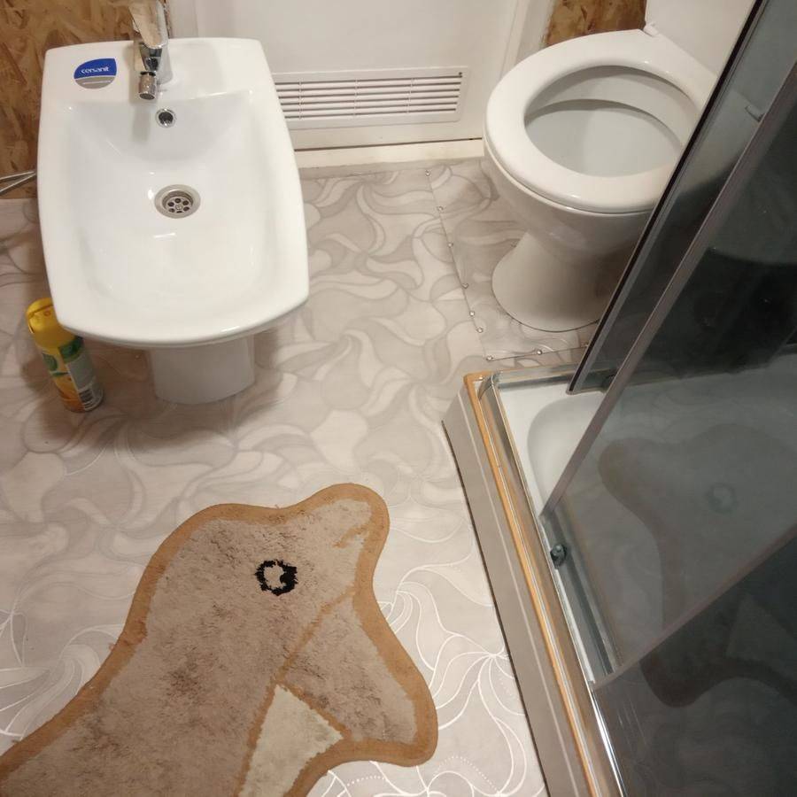 Фотографии номера Двухместный номер с 2 отдельными кроватями, вид на сад в Гостевом доме Guest House on Frunze Полоцк